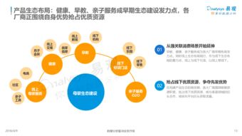 中國互聯(lián)網(wǎng)母嬰市場(chǎng)年度綜合分析2018